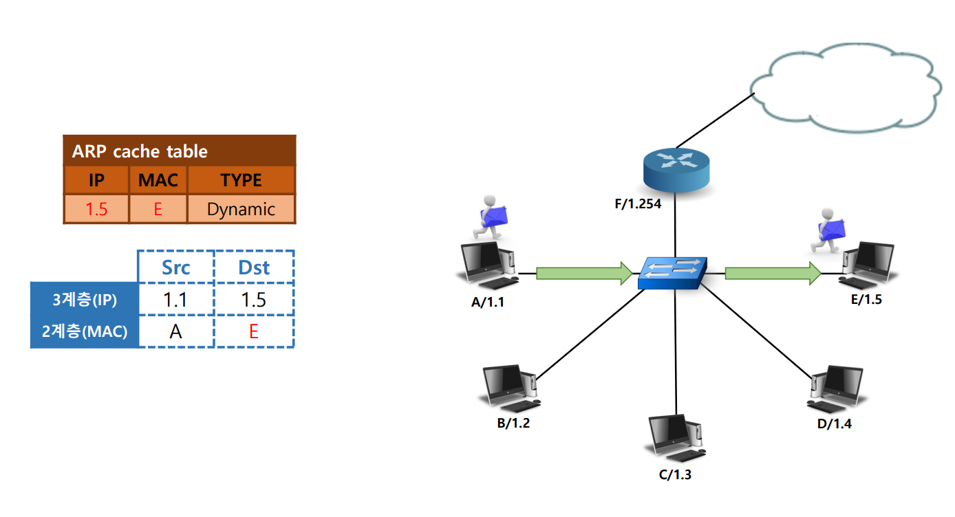 arp11