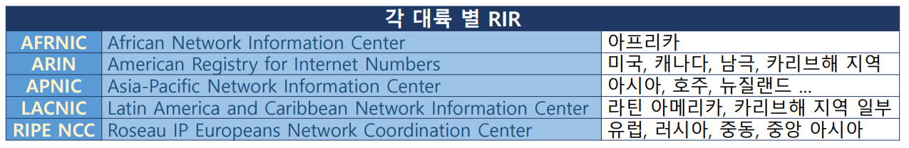 dns4