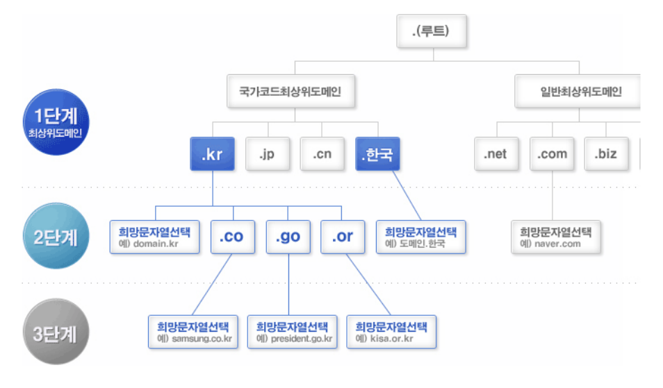 dns5