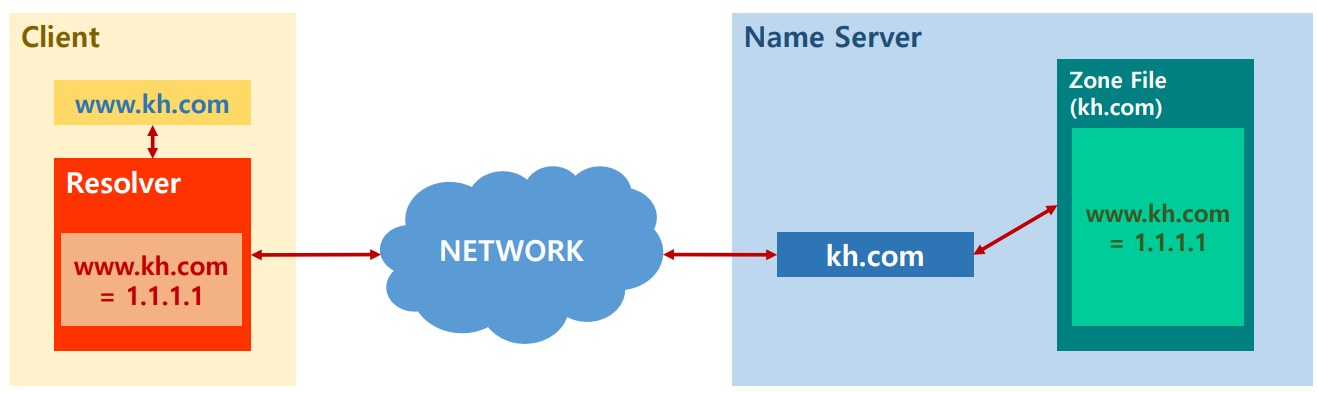 dns8