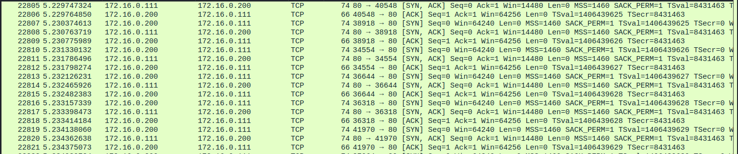 dhcp spoofing1