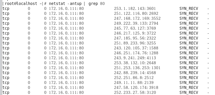 dhcp spoofing1