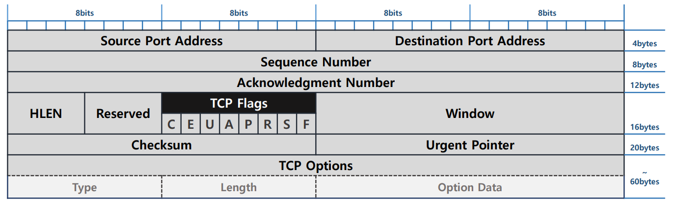 udp4